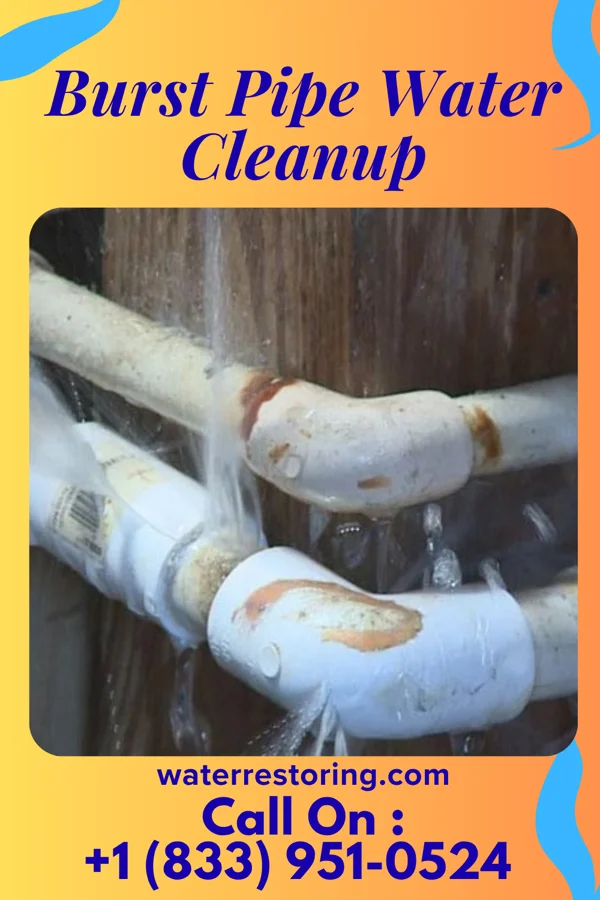 Burst Pipe Water Cleanup in Coahoma, MS