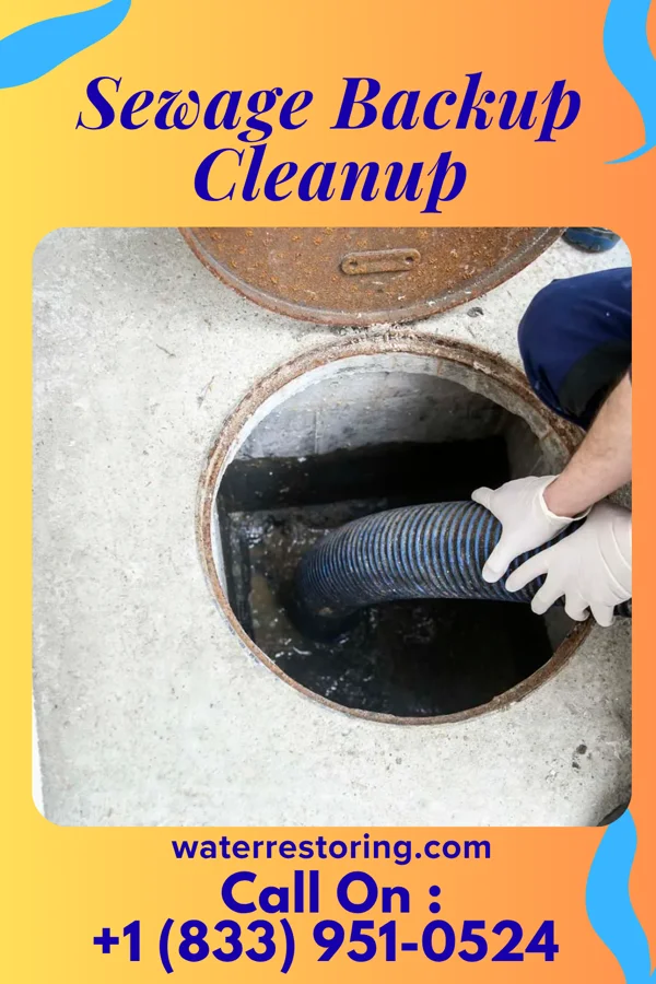 Sewage Backup Cleanup in Coahoma, MS