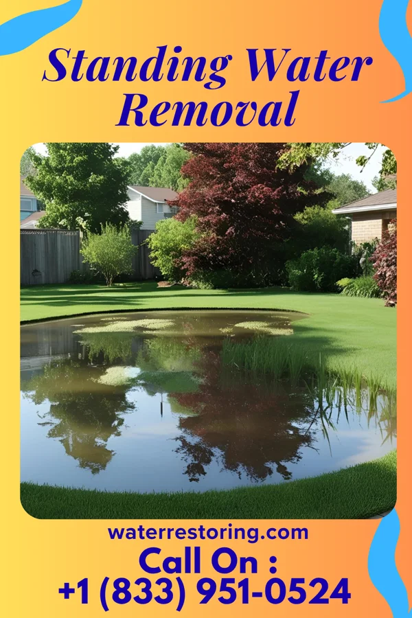 Standing Water Removal in Coahoma, MS
